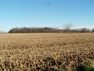 Property photo 1 - HIGH QUALITY LAND AUCTION - 300+/- ACRES OFFERED IN 5 TRACTS IN HENRY CO., INDIANA